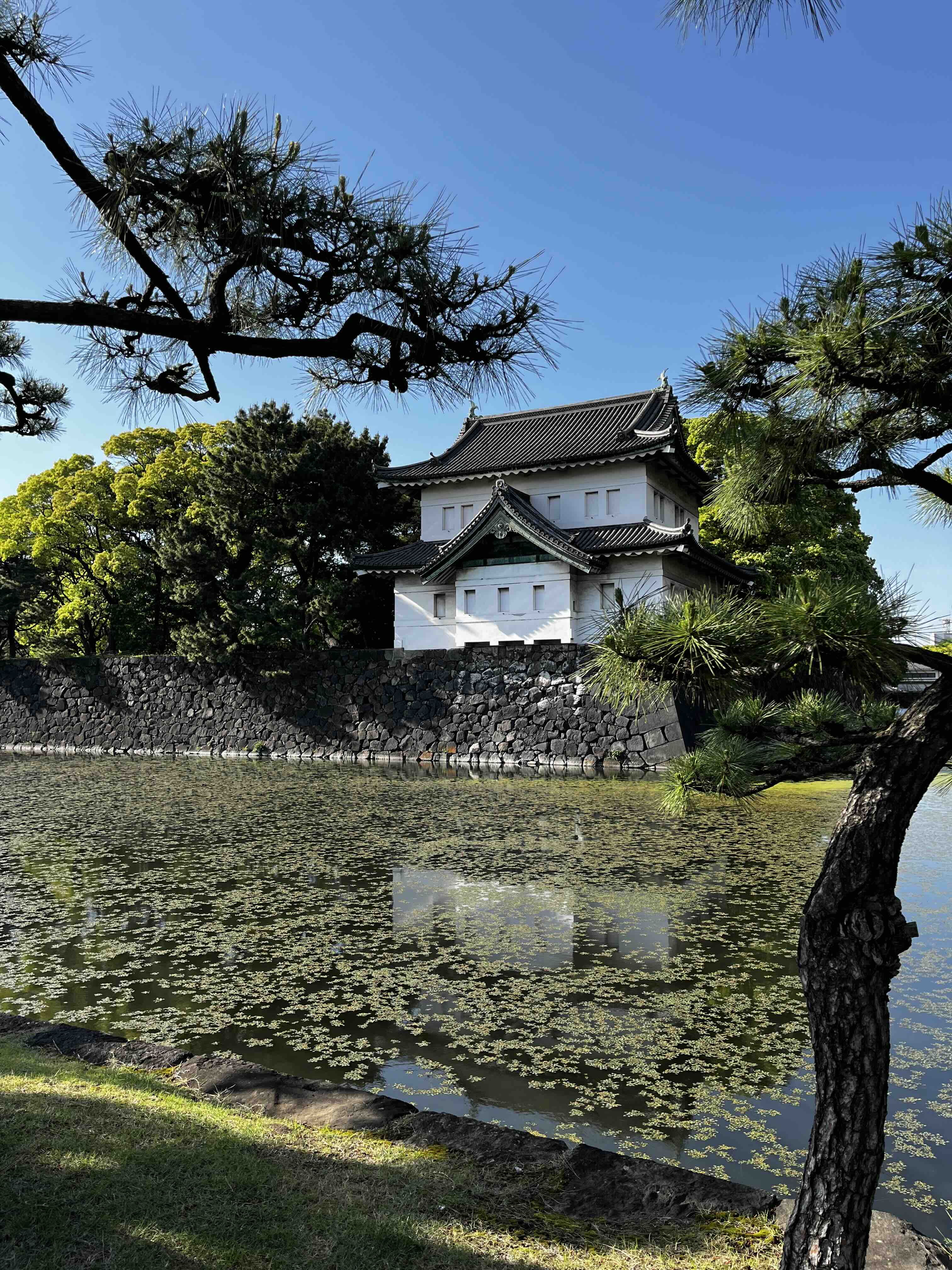 Edo castle