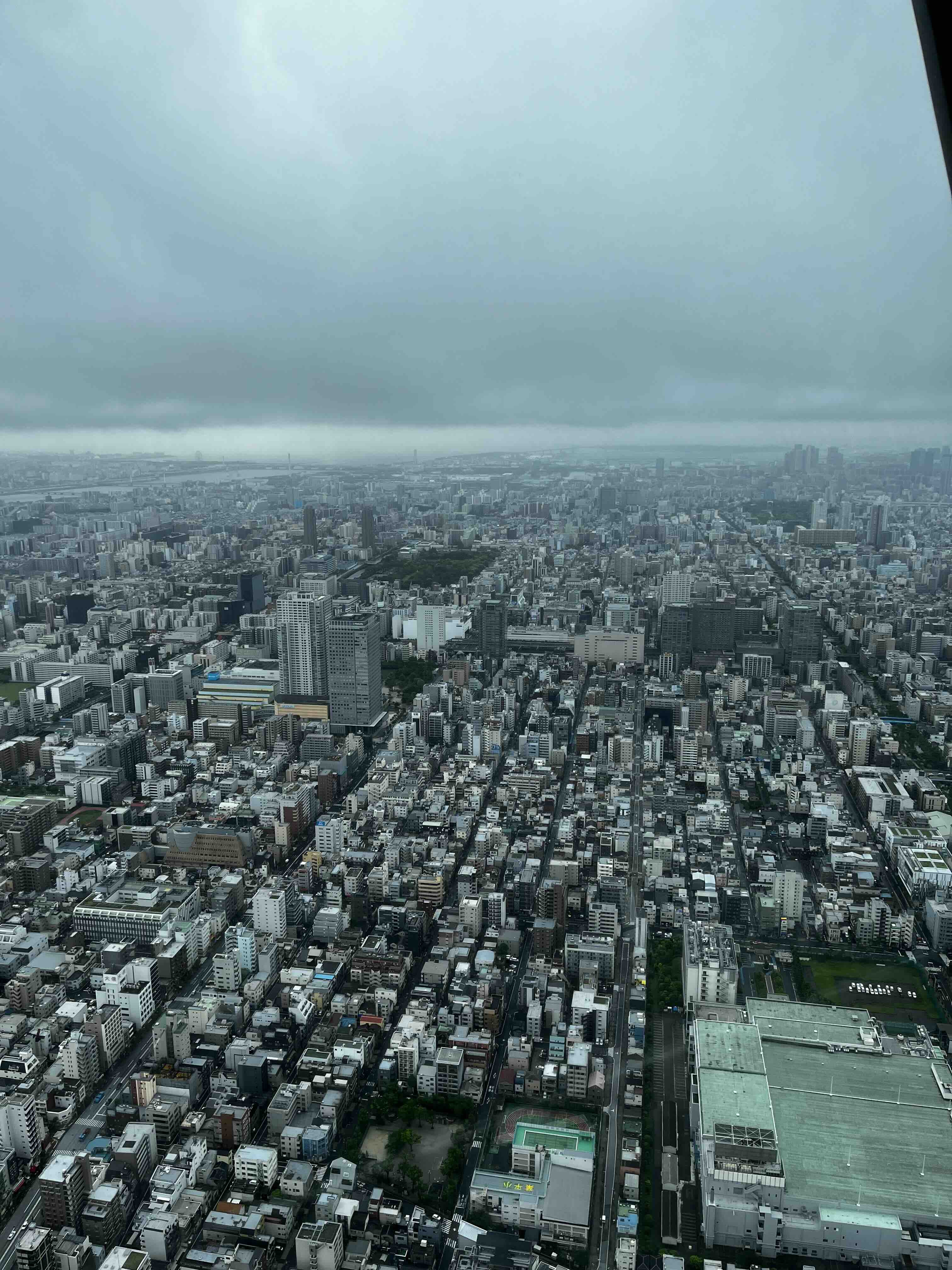 Aerial Tokyo view