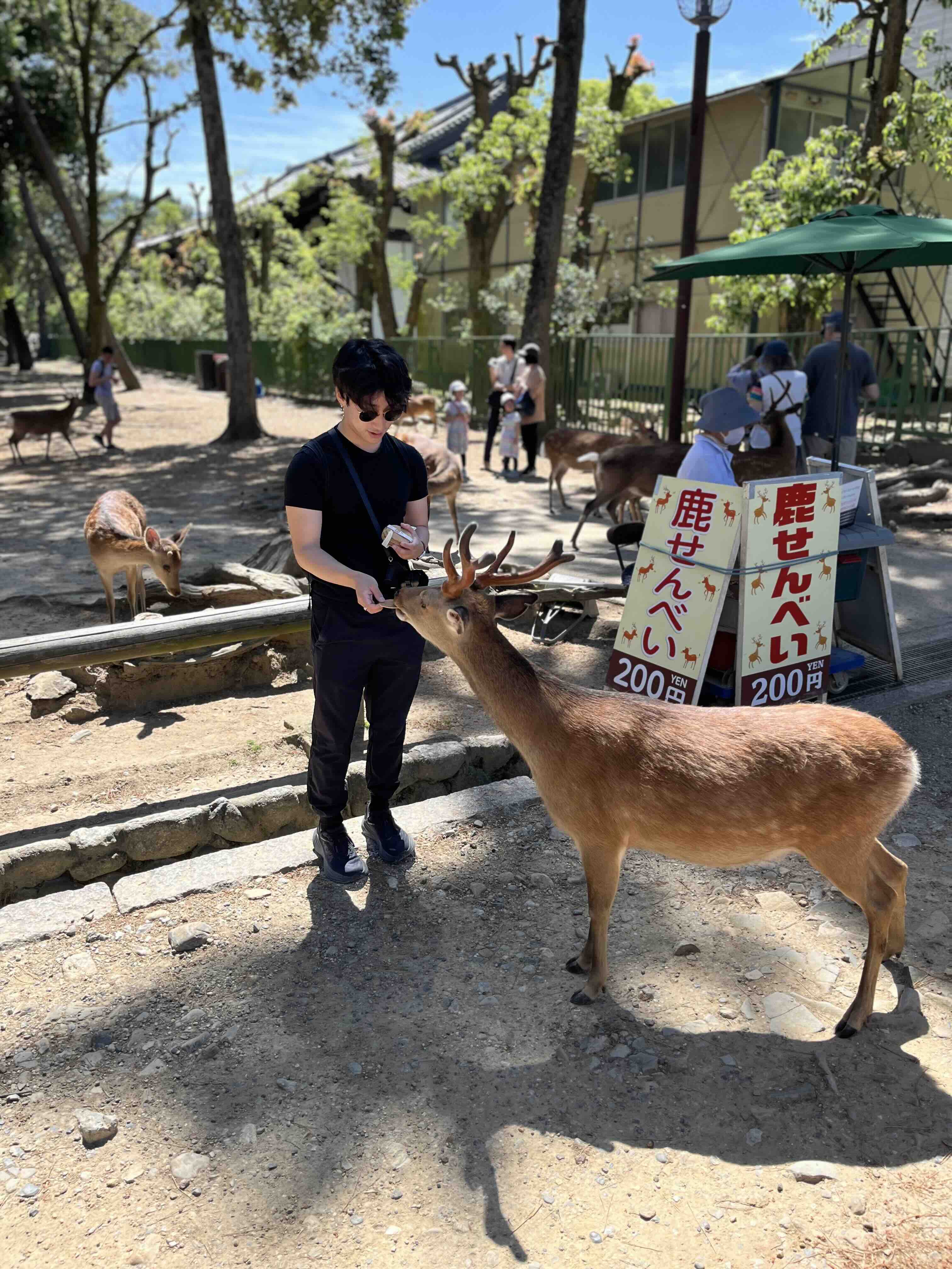 Nara deer devils