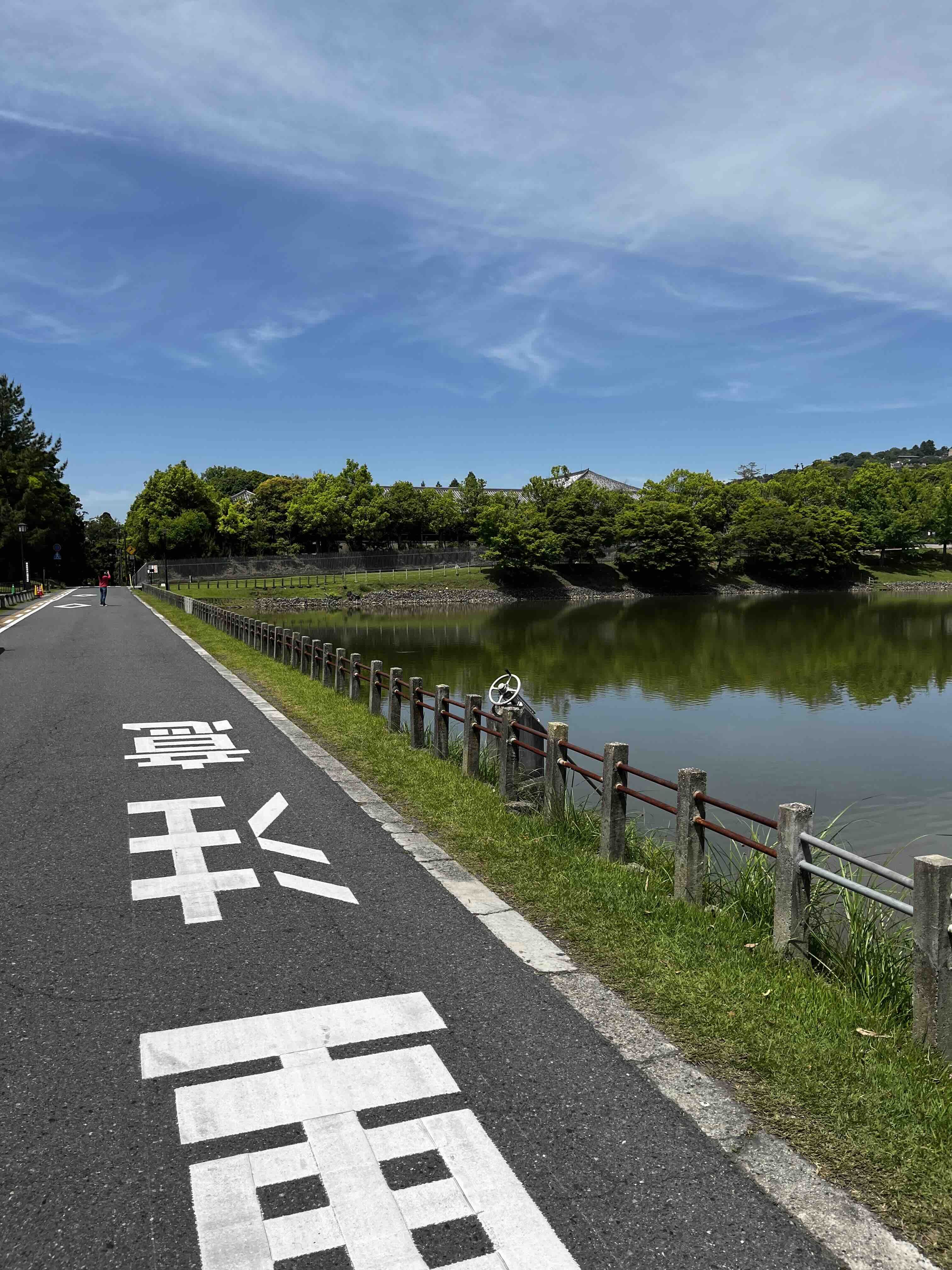 Nara surroundings