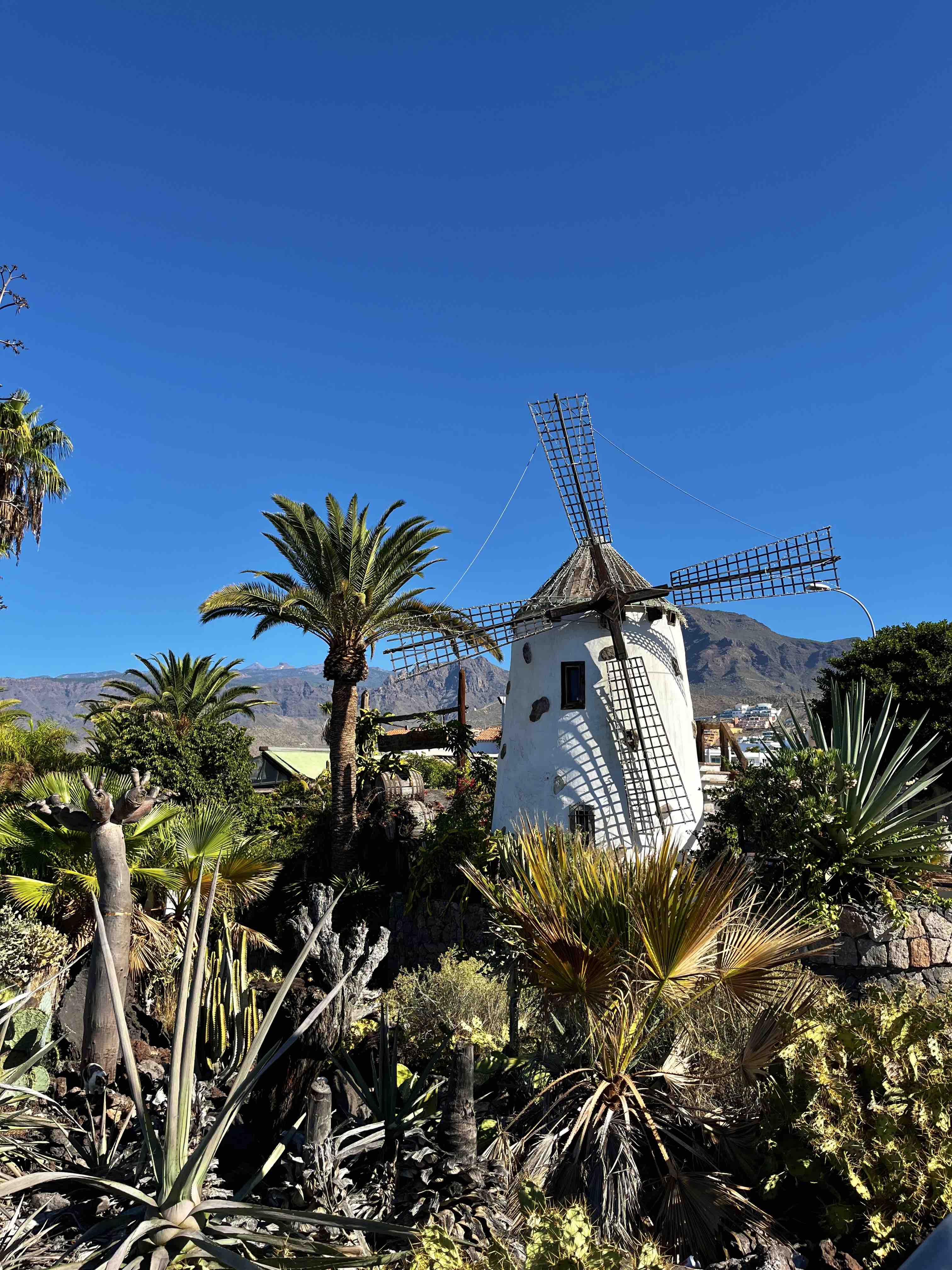 Random windmill in Costa Adeje