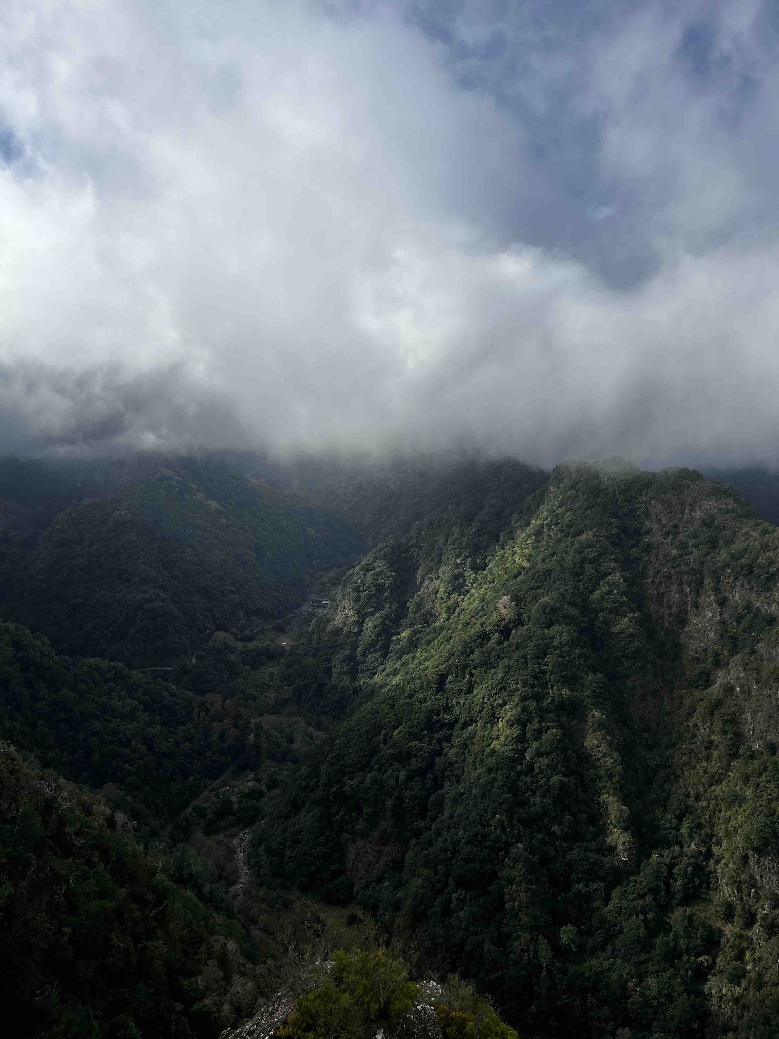 Levada Walk views