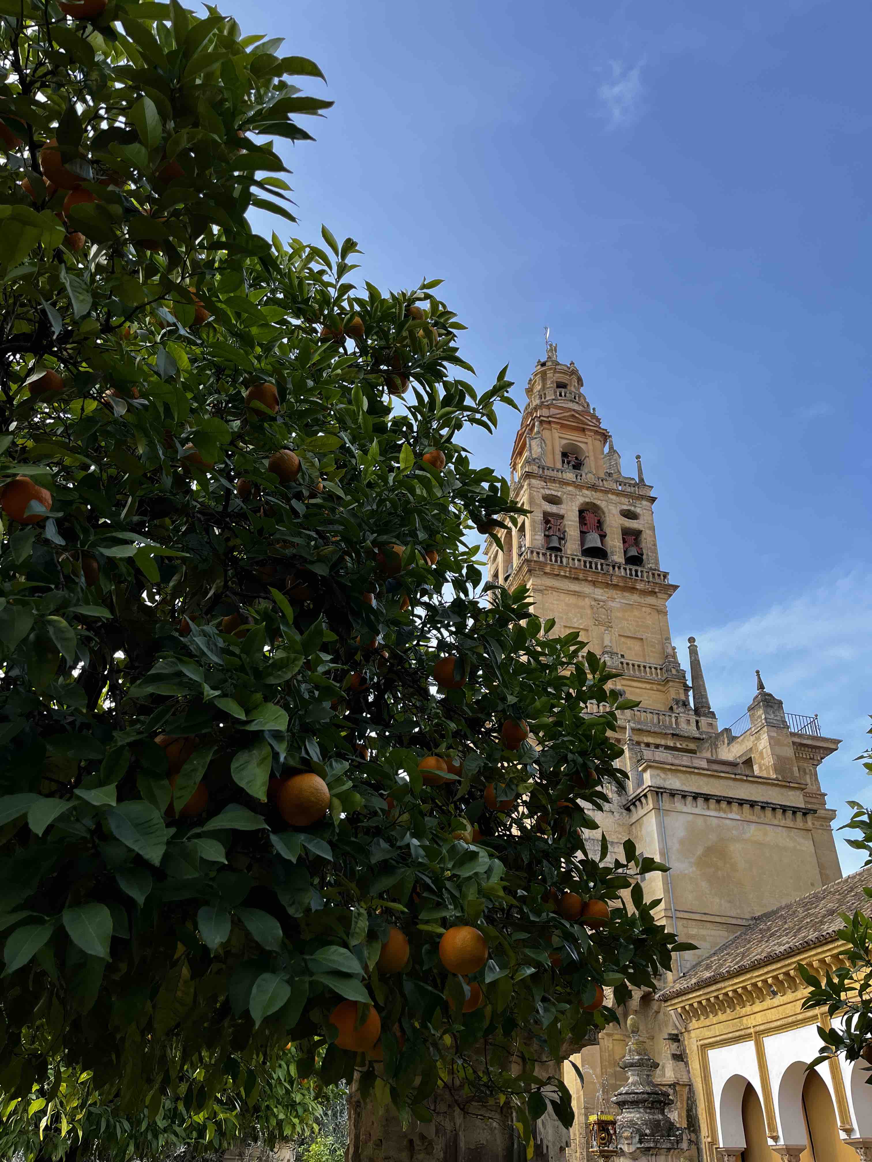 Minaret-Bell Tower